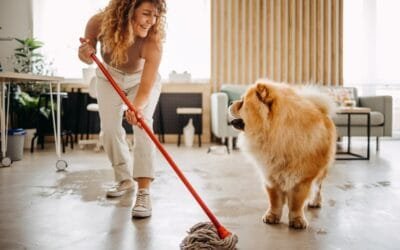 10 Tips to Keep Your Home Clean with Pet